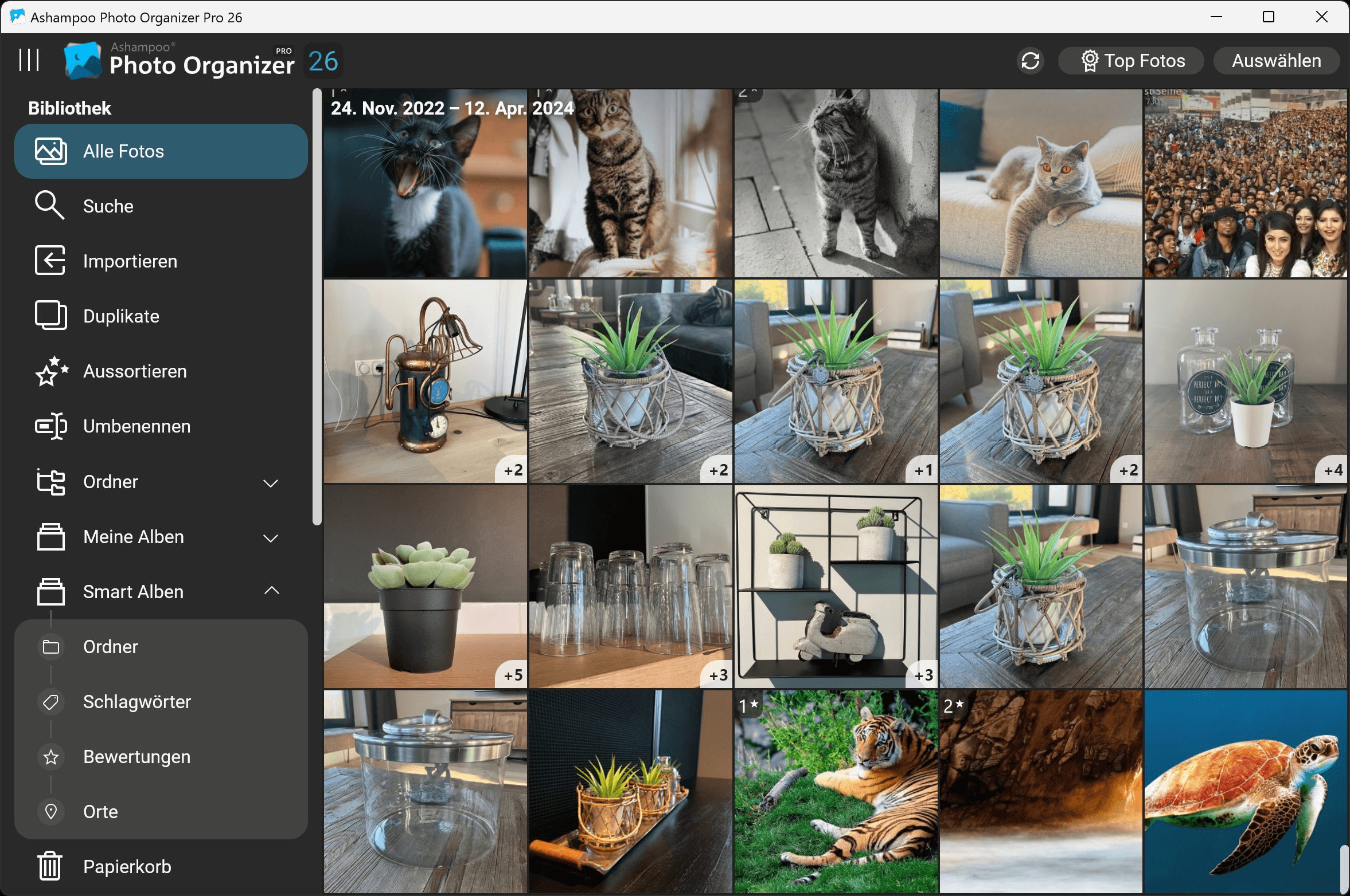 Ashampoo Photo Organizer Pro 26 Windows 10/11 1PC Dauerlizenz Digitaler Download
