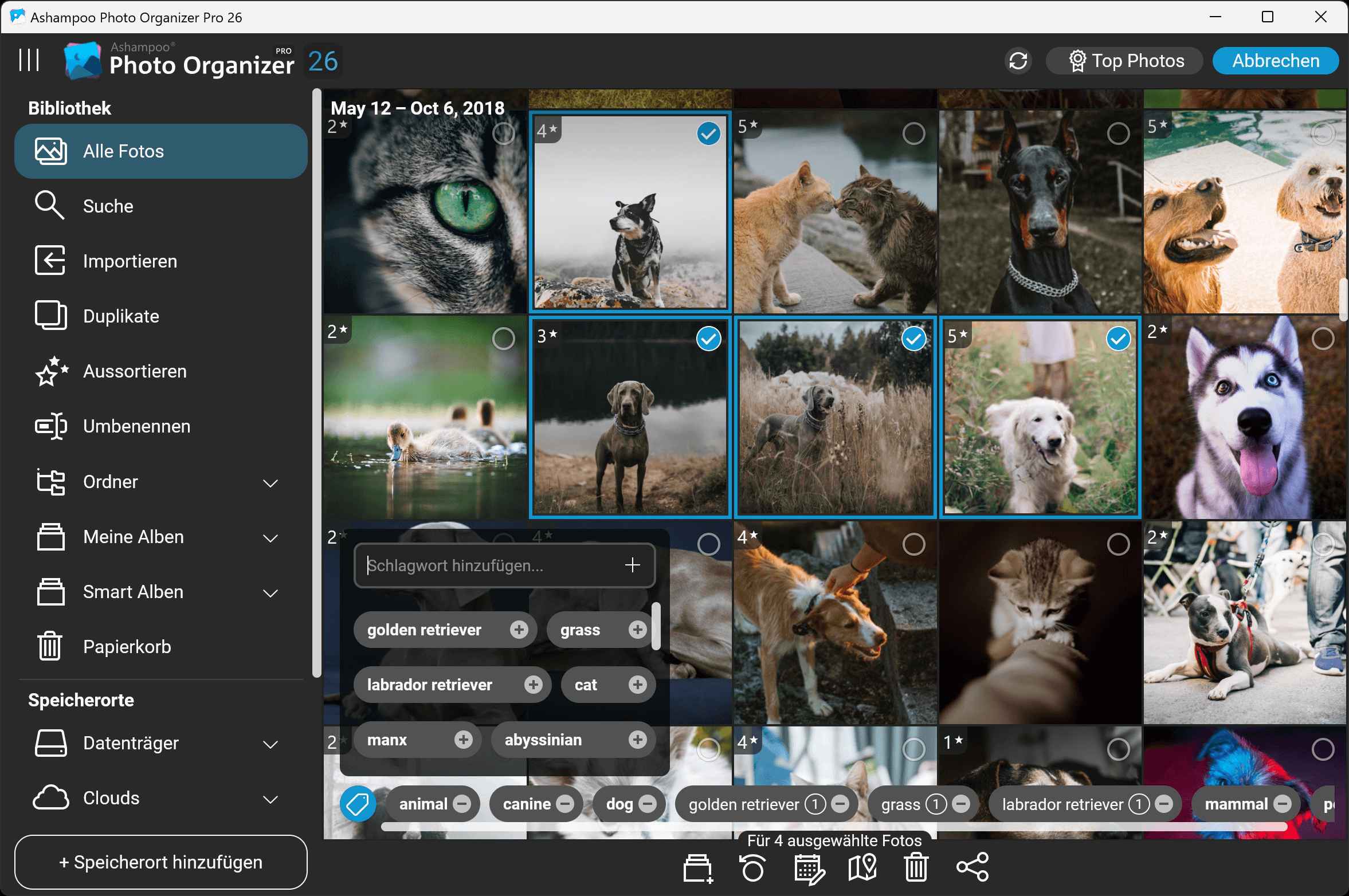Ashampoo Photo Organizer Pro 26 Windows 10/11 1PC Dauerlizenz Digitaler Download