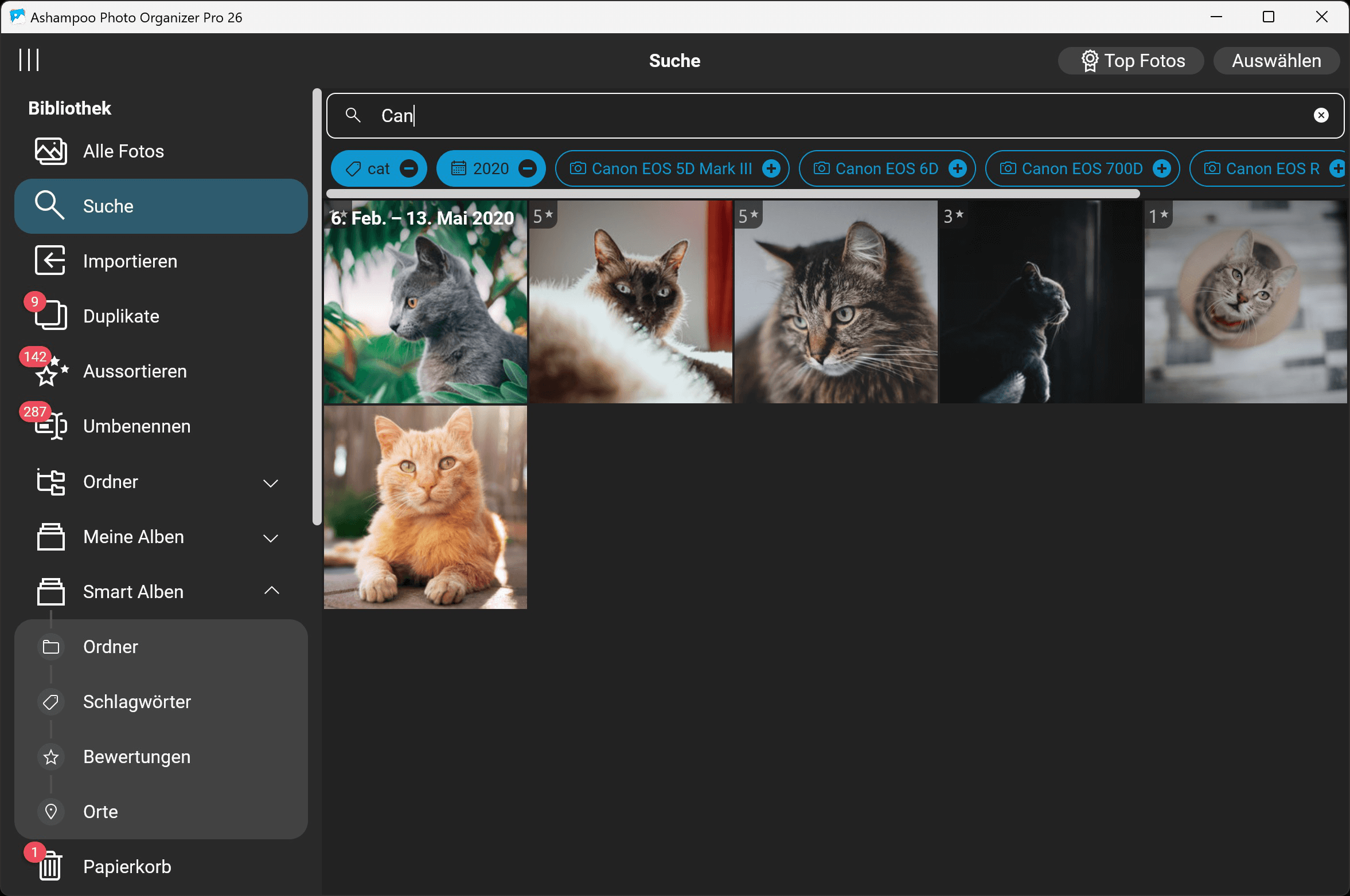 Ashampoo Photo Organizer Pro 26 Windows 10/11 1PC Dauerlizenz Digitaler Download