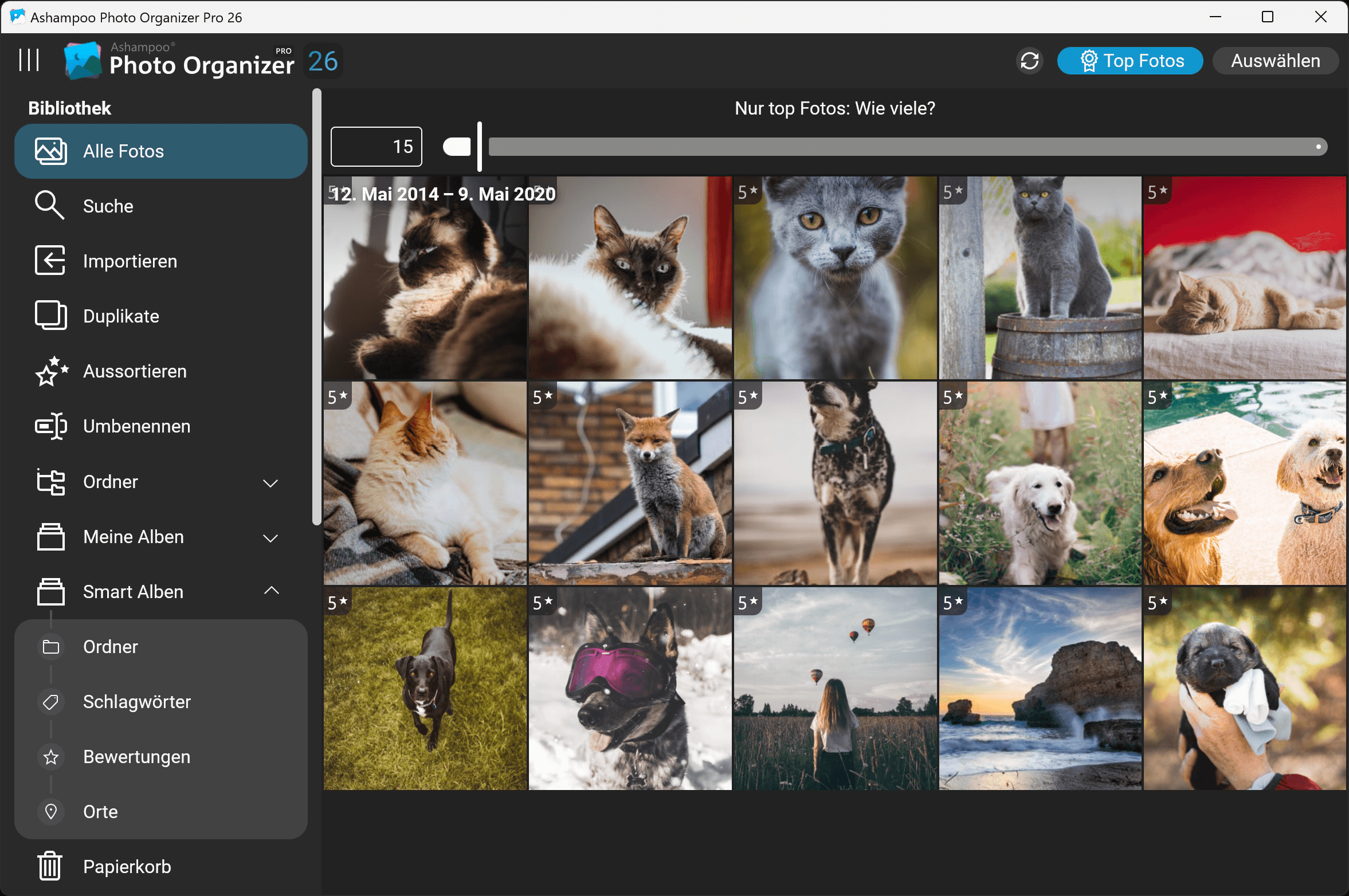 Ashampoo Photo Organizer Pro 26 Windows 10/11 1PC Dauerlizenz Digitaler Download
