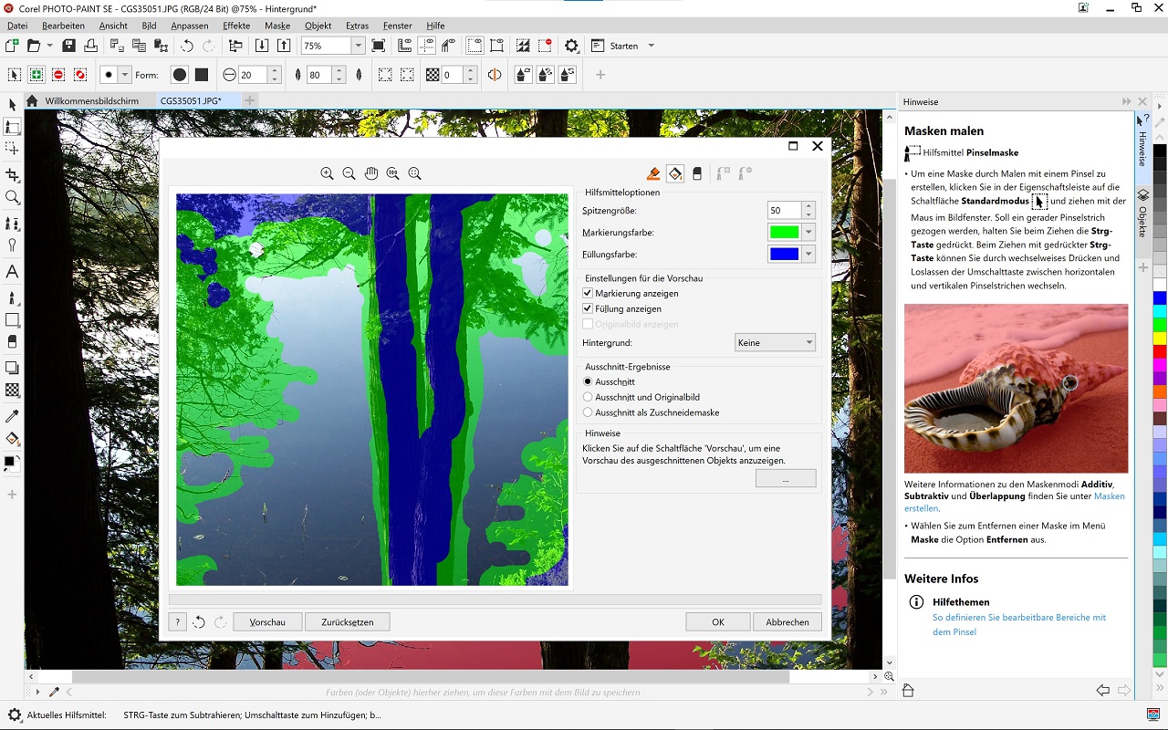 CorelDRAW Graphics Suite SpecialEdition 2020 OEM +AfterShot3+FM Download
