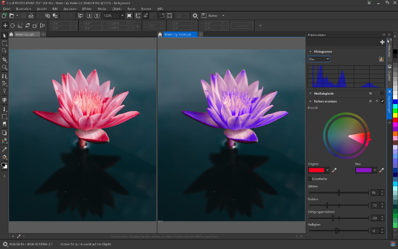 CorelDRAW Graphics Suite 365 Aktuellste Version Win/MAC 1 Jahr, Download