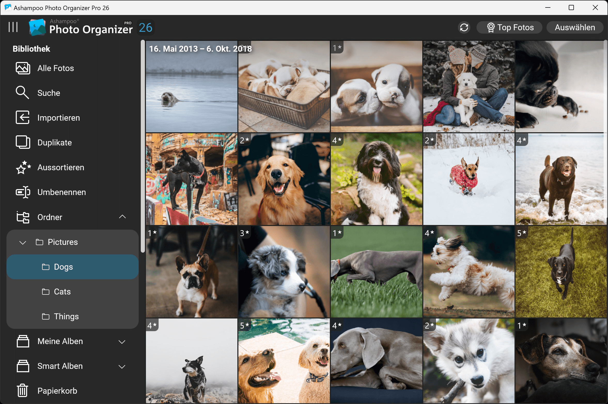 Ashampoo Photo Organizer Pro 26 Windows 10/11 1PC Dauerlizenz Digitaler Download