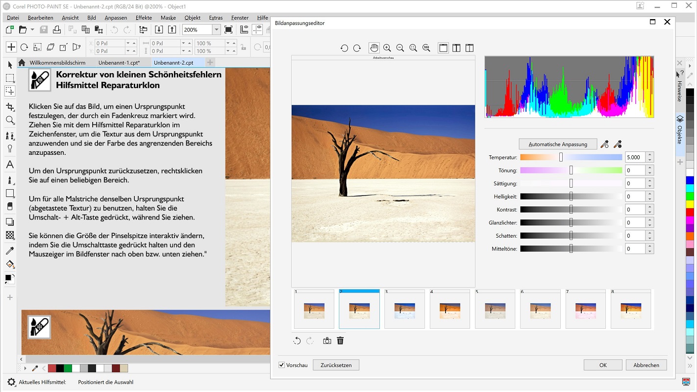 CorelDRAW Graphics Suite SpecialEdition 2020 OEM +AfterShot3+FM Download