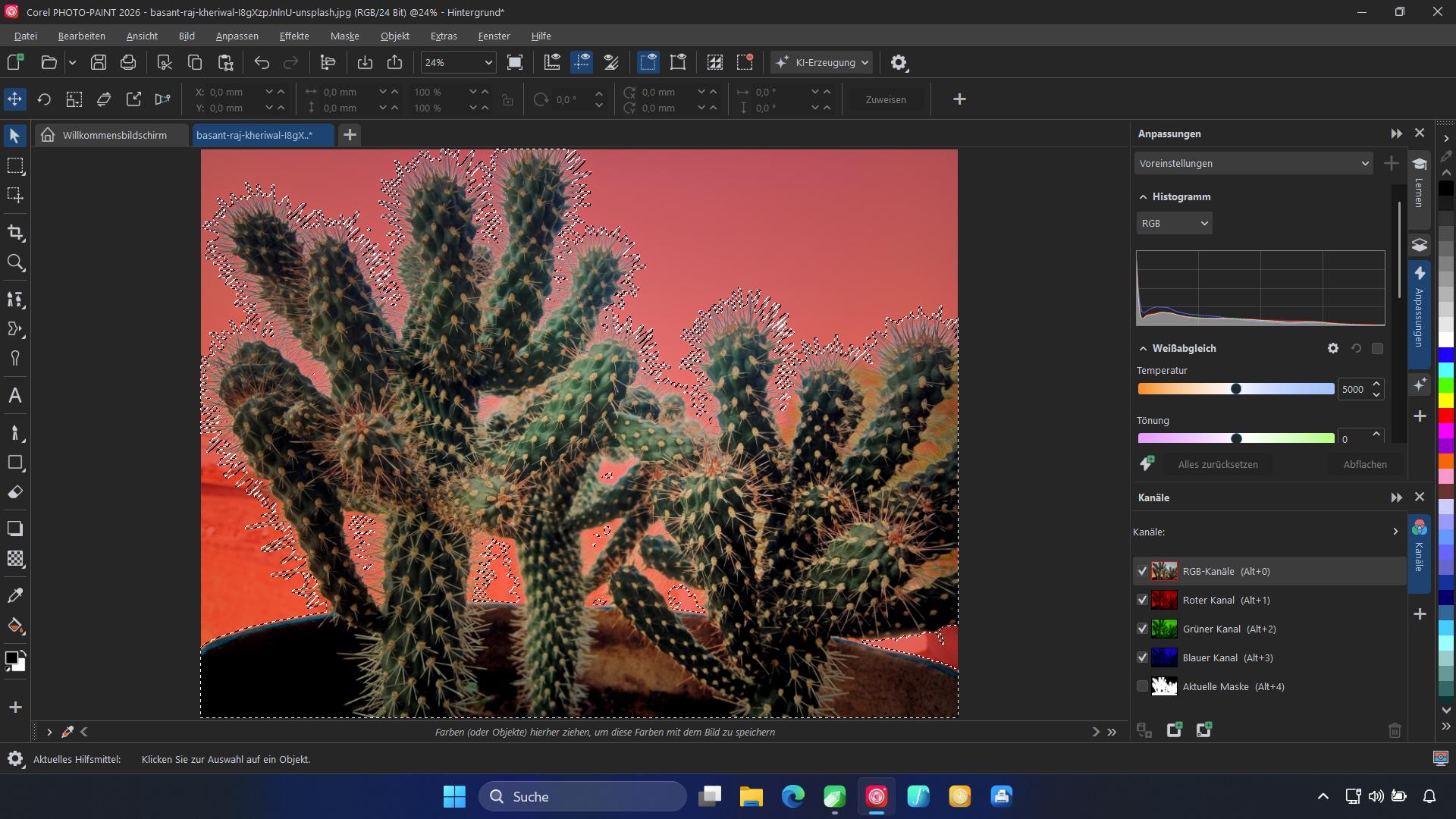 CorelDRAW Graphics Suite 2026 inkl. KI, Dauerlizenz Windows 10/11, Mac Digitaler Download, Deutsch